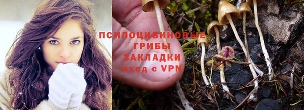 гидра Армянск